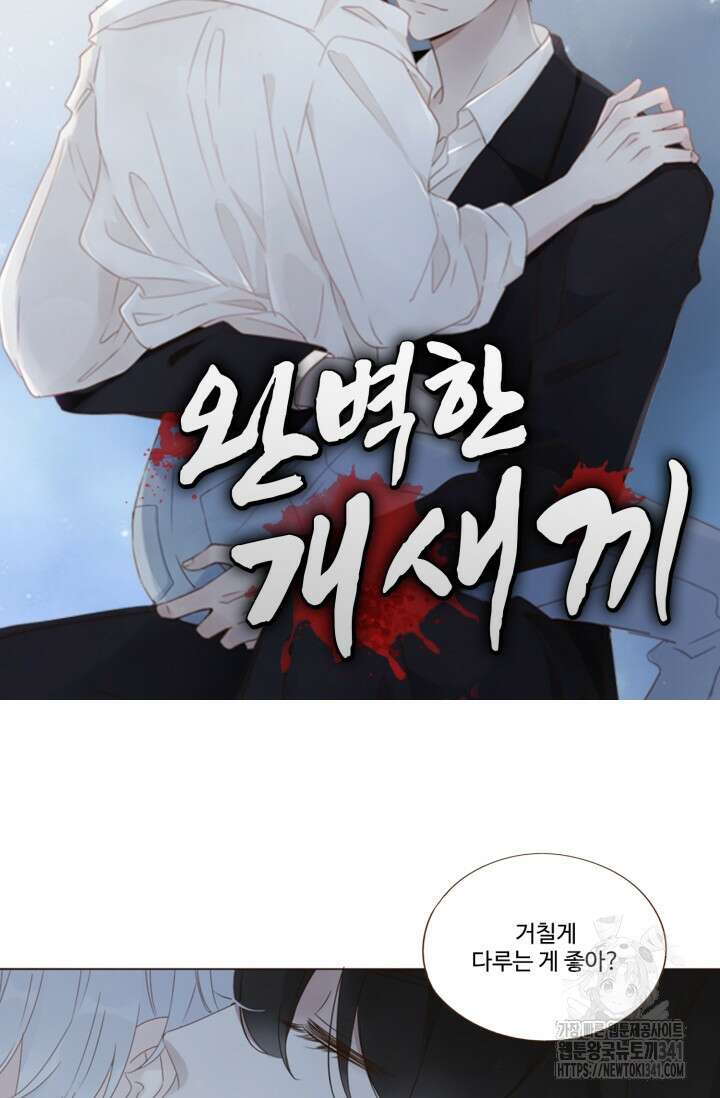 완벽한 개새끼 37화 6