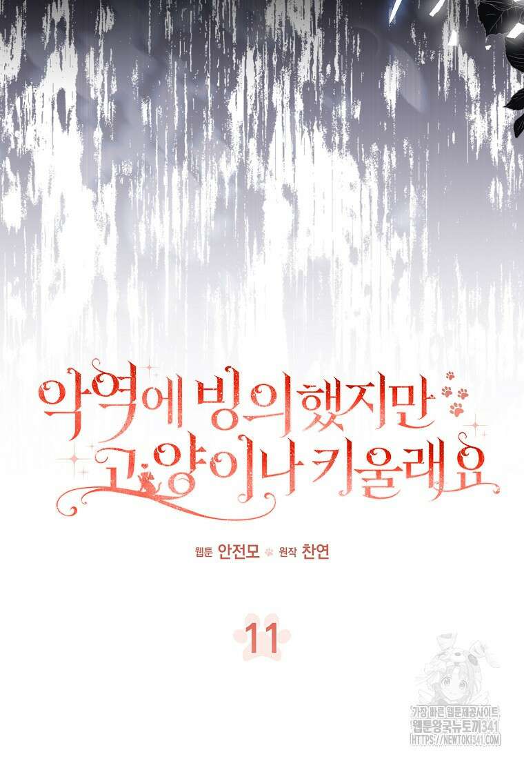 악역에 빙의했지만, 고양이나 키울래요 11화 20