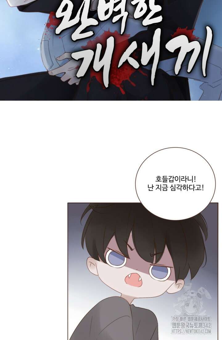 완벽한 개새끼 39화 6