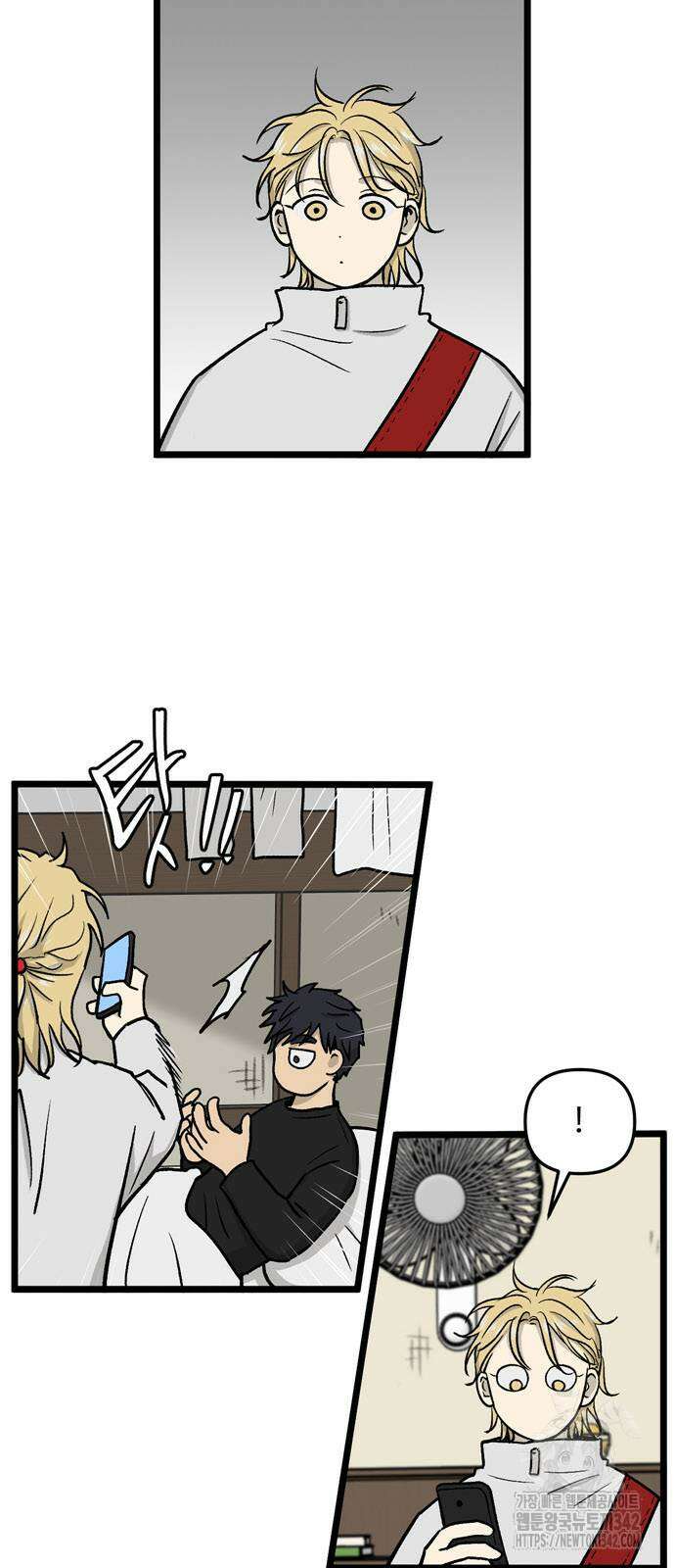 집이 없어 264화 7