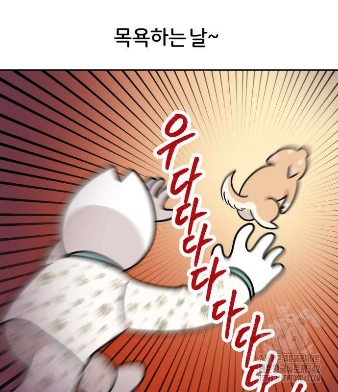 시바, 만만치 않다 5화 4