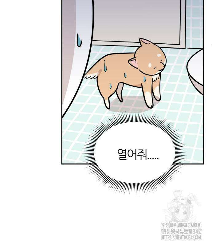 시바, 만만치 않다 5화 16