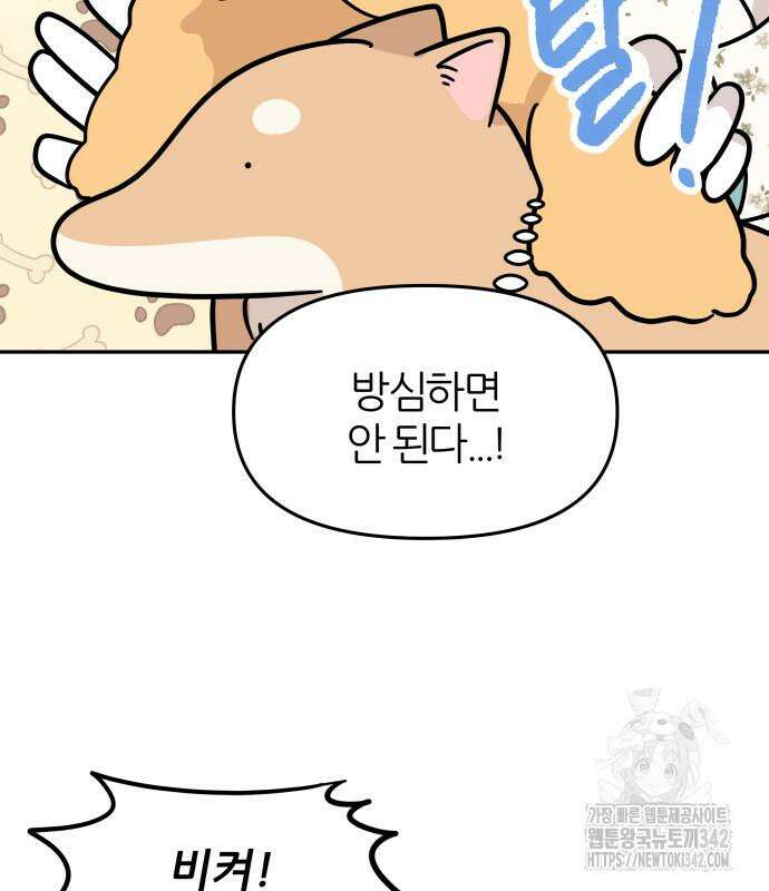 시바, 만만치 않다 5화 18