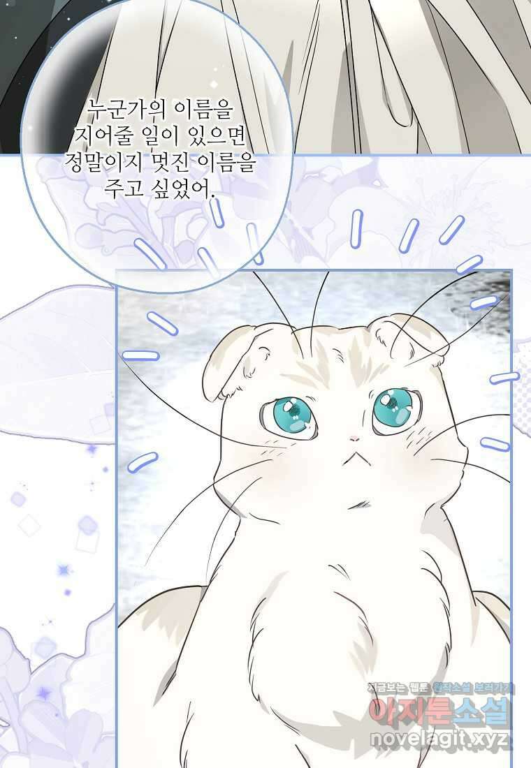 백작가의 사생아가 결혼하면 94화 69