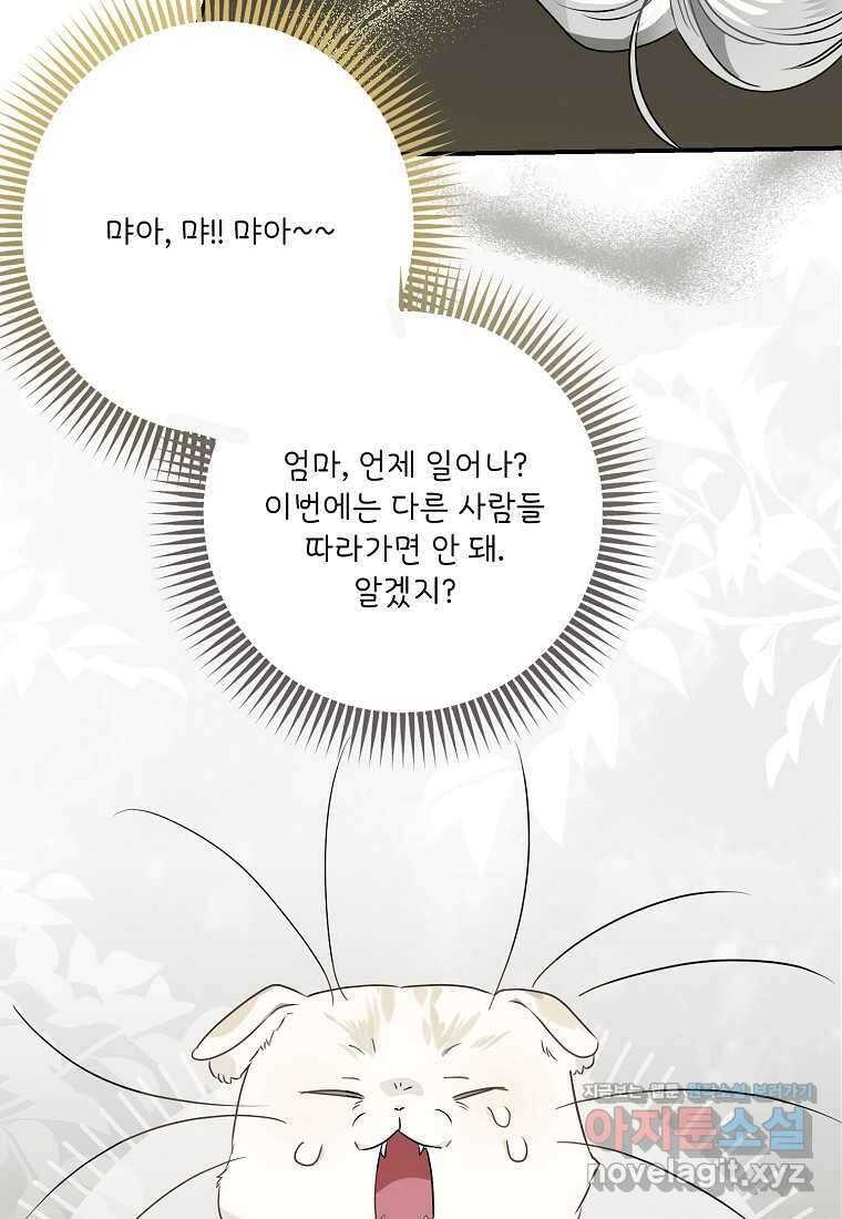 백작가의 사생아가 결혼하면 94화 72