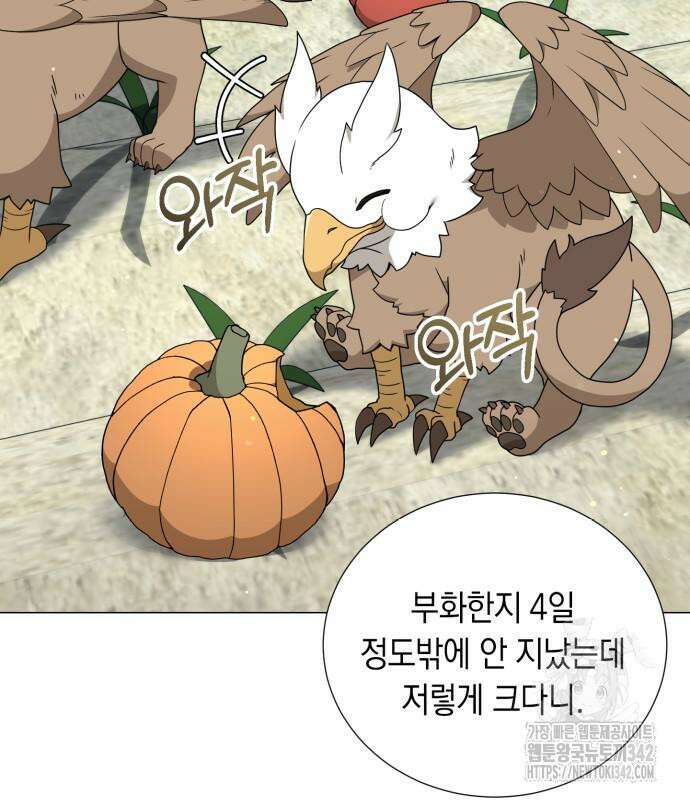 헌터 세상의 정원사 41화 10