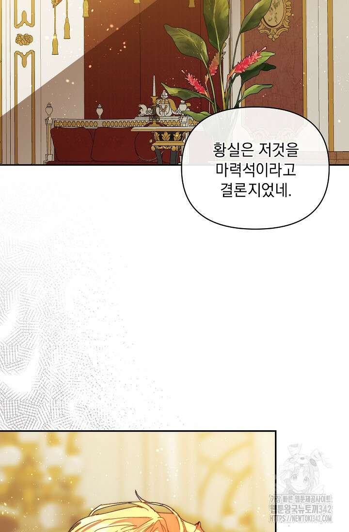 흑막 남주의 시한부 유모입니다 47화 67