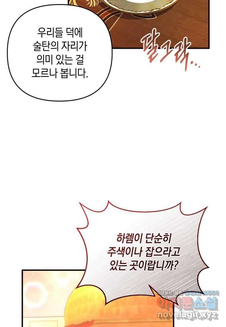 술탄의 귀한 고양이가 되었습니다 62화 12