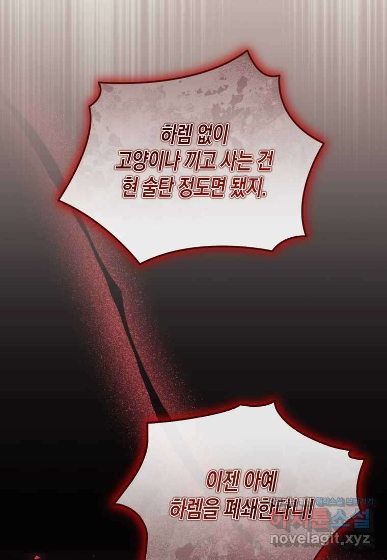 술탄의 귀한 고양이가 되었습니다 62화 14