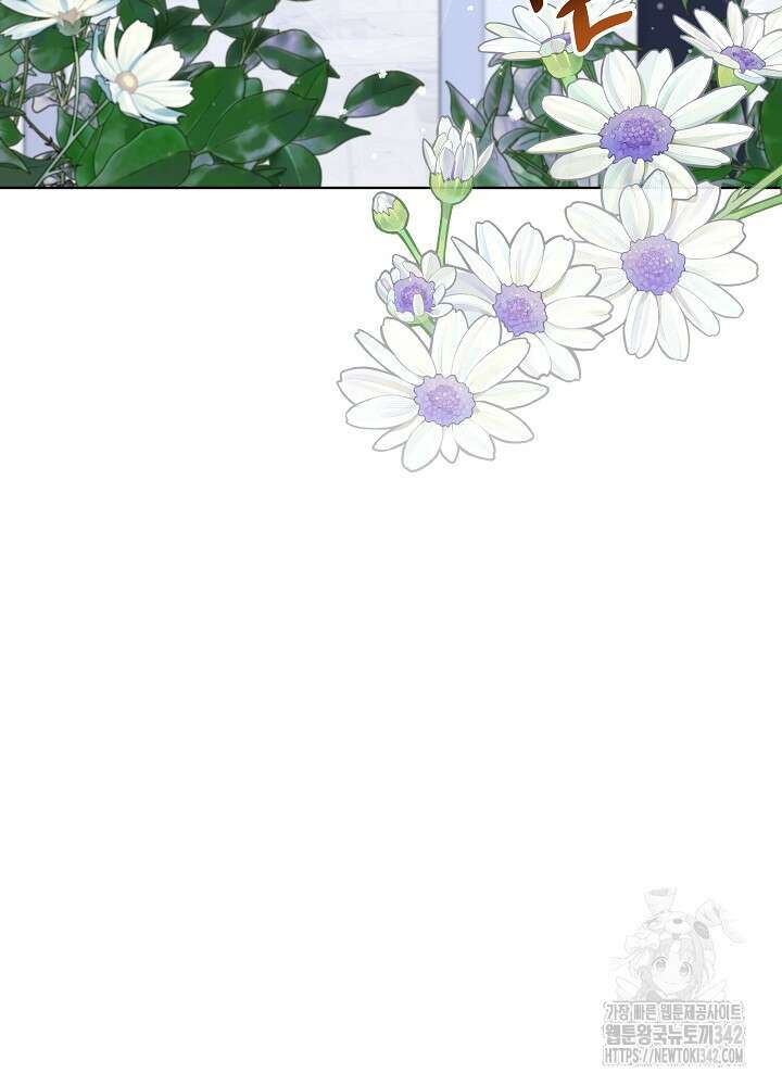셀럽 레이디 13화 12
