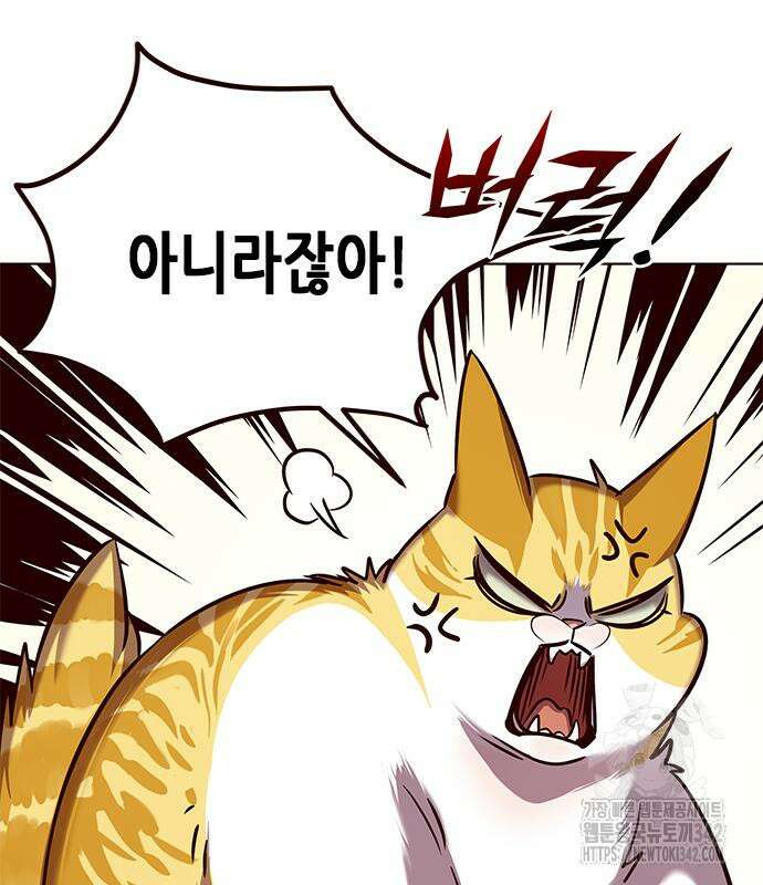 일렉시드 307화 19