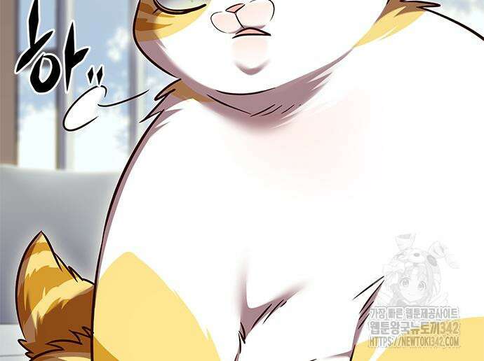 일렉시드 307화 50