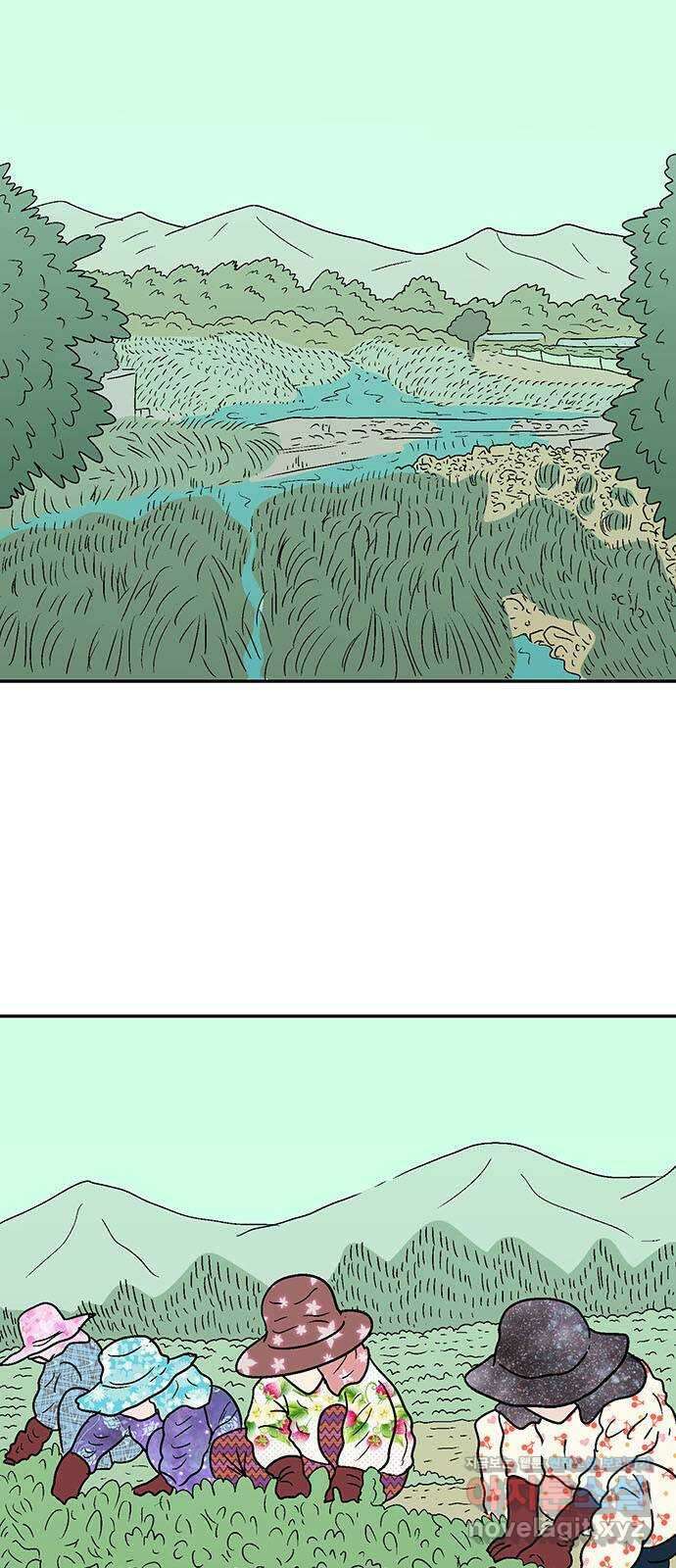 새동네 43화 2
