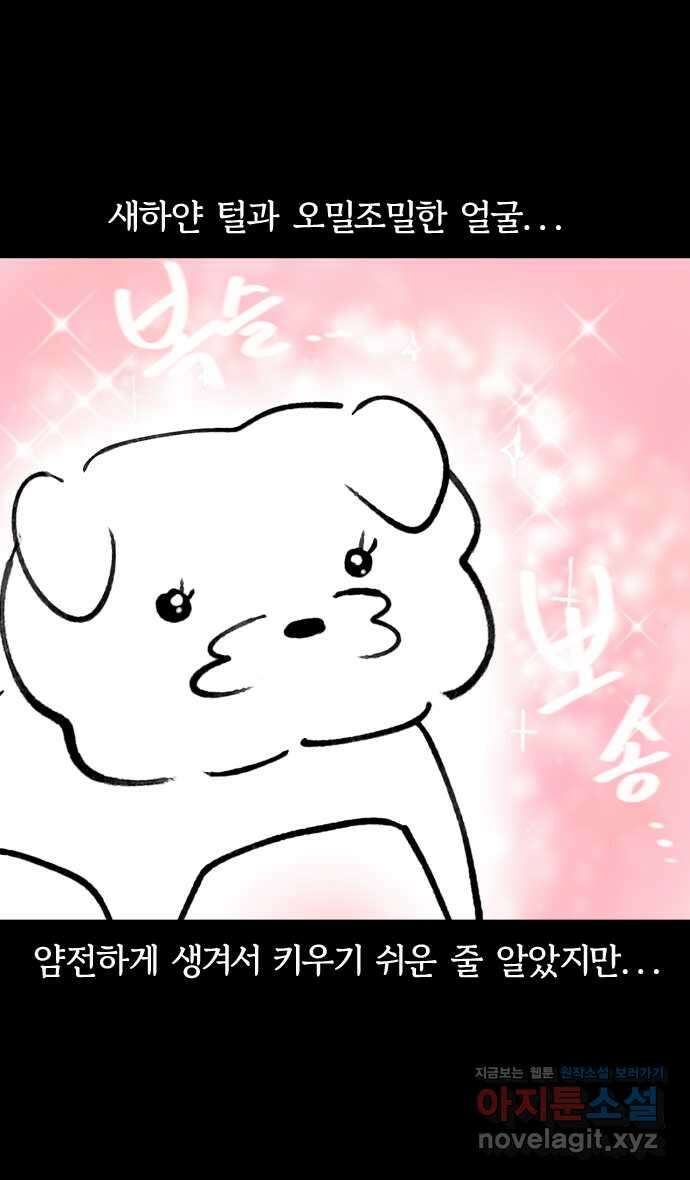개집사 1화 전설의 시작 12