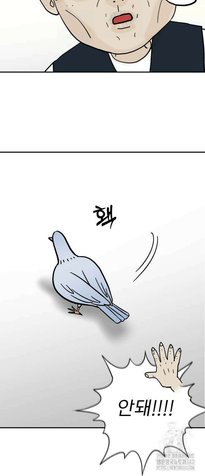 성북구 비둘기 이헌서 13화 6