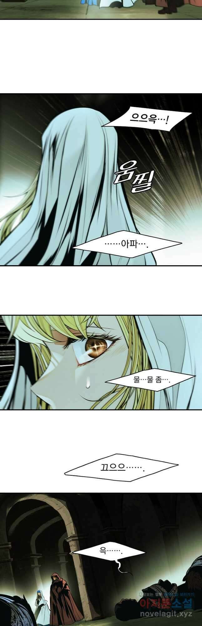 묵향 다크레이디 - 228화 3