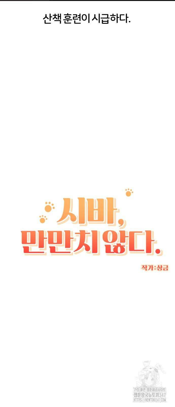 시바, 만만치 않다 9화 5