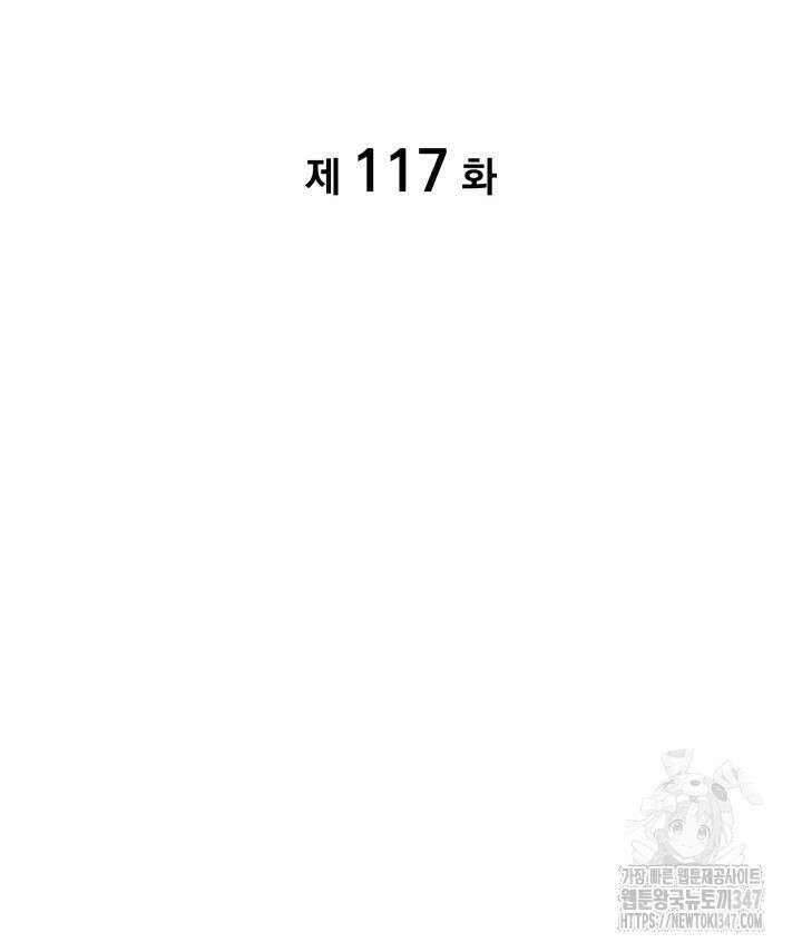SSS급 랭커 회귀하다 117화 13
