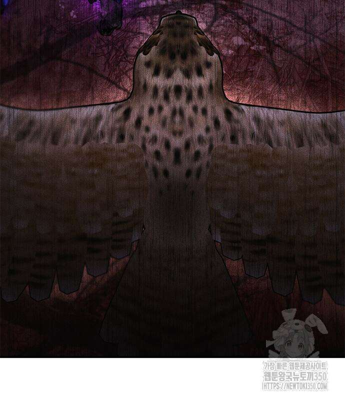 귀비나리 62화 11