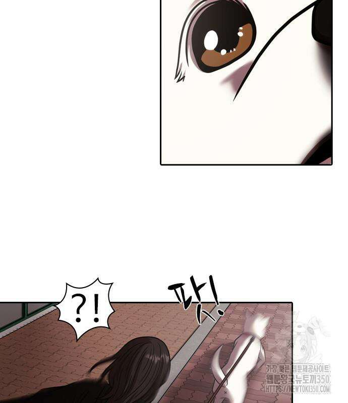 내일 344화 90