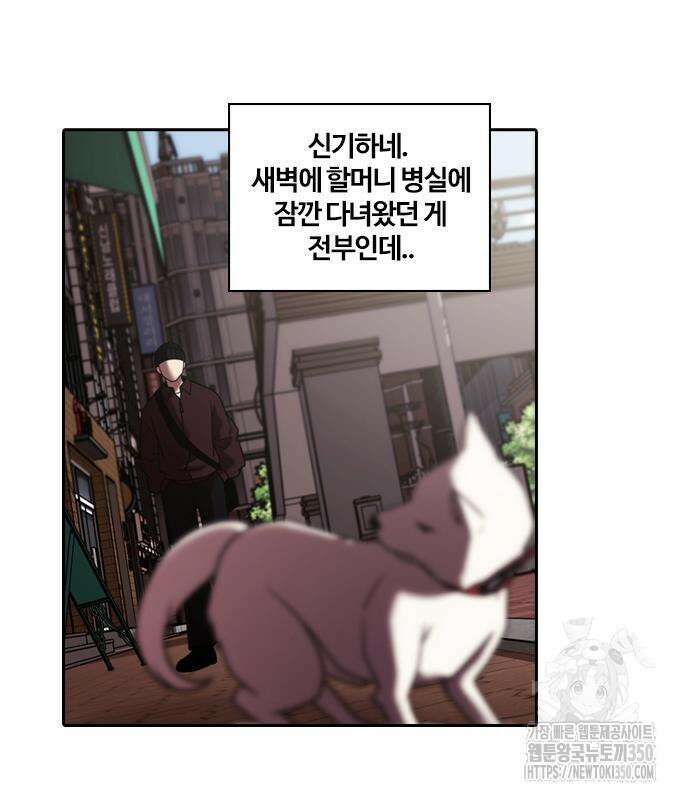 내일 344화 100