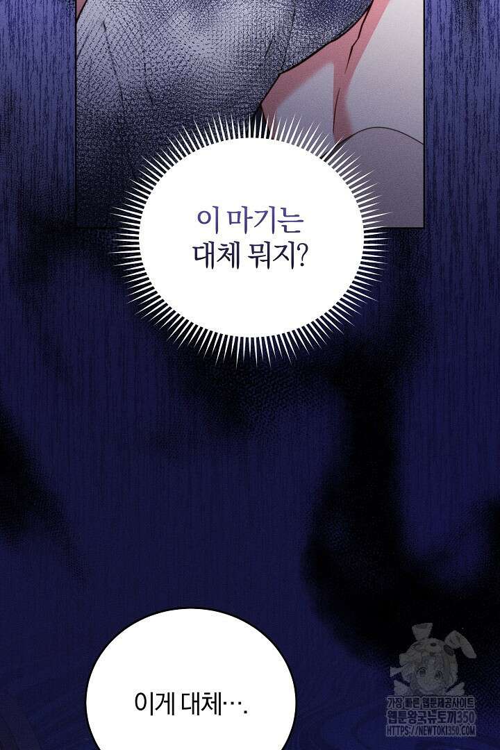 저주받은 공작가의 안주인이 되어 버렸다 41화 13