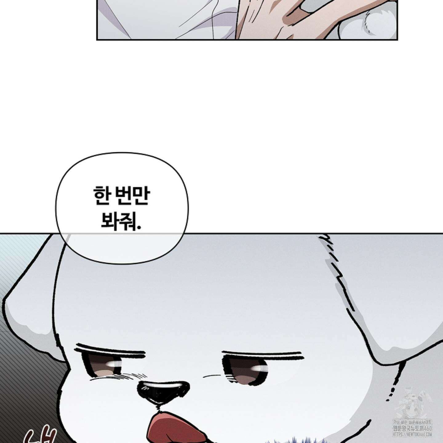 강아지는 건드리지 마라 10화 24