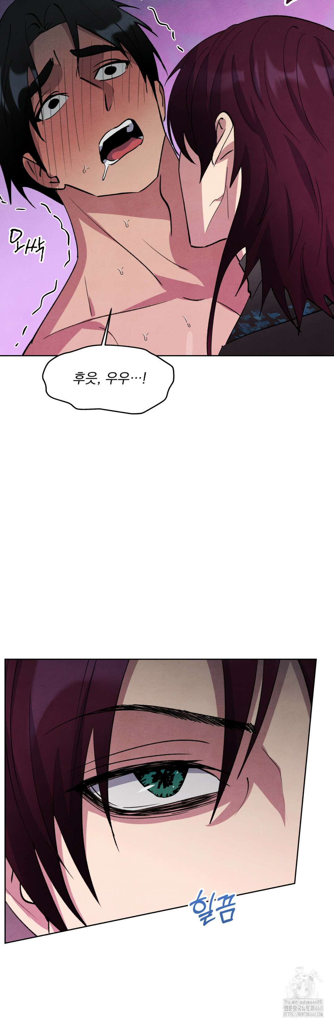 북부대공님의 비밀계약 52화 10