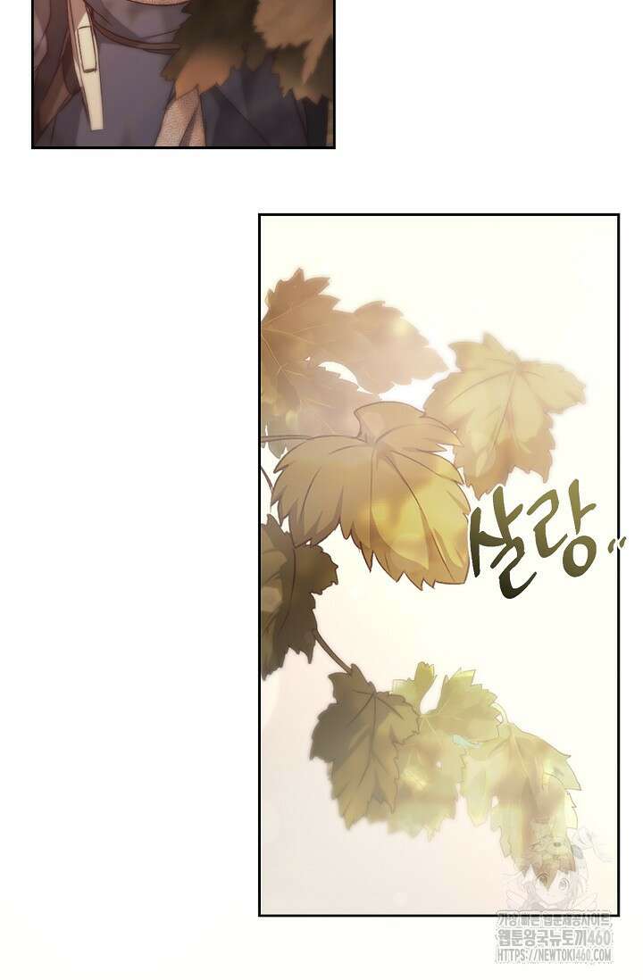 레가스 45화 9