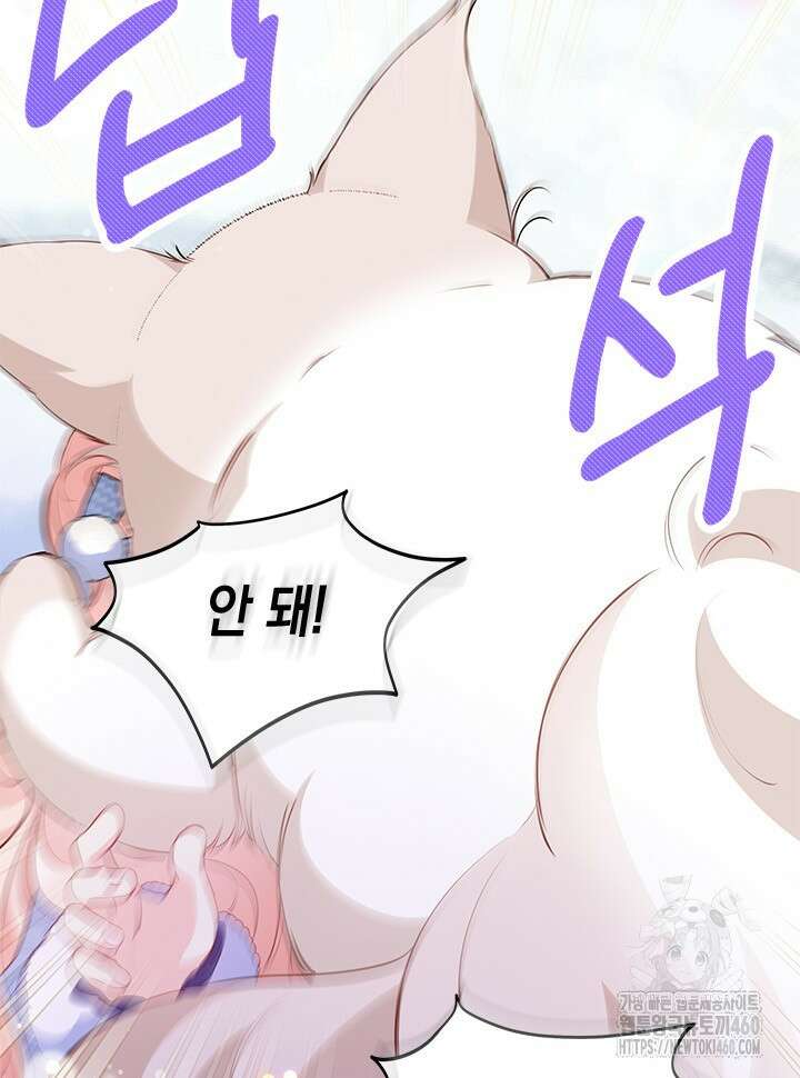 총애를 거절하는데 왜 집착하나요 27화 21