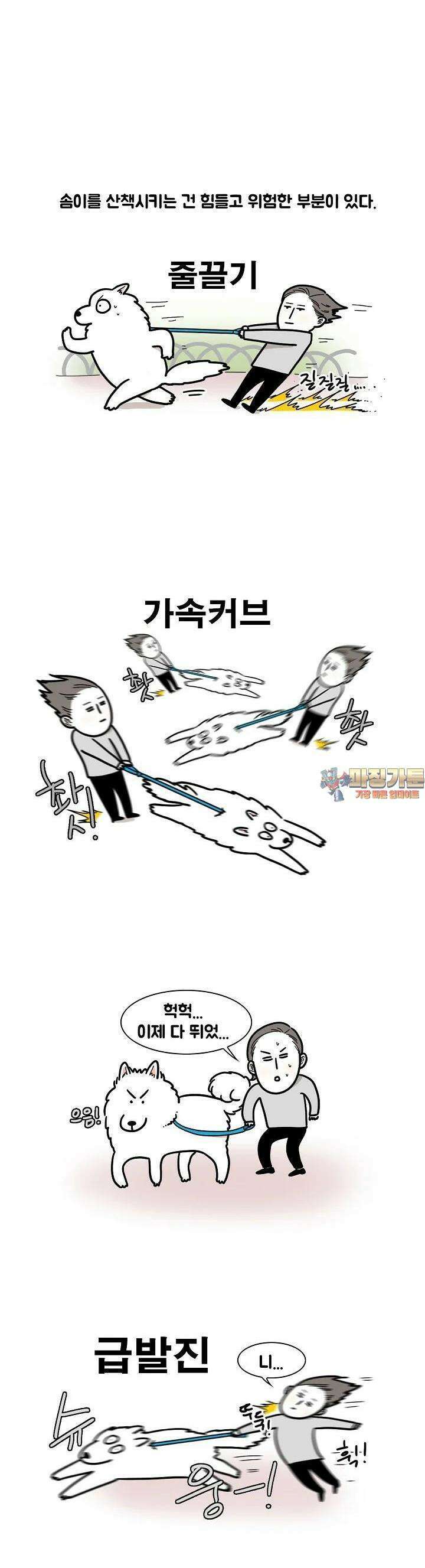 극한견주 4화 산책 1 1