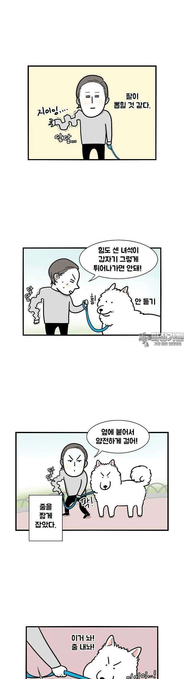 극한견주 4화 산책 1 2