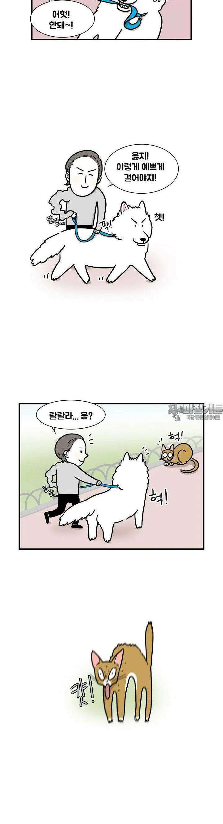 극한견주 4화 산책 1 3