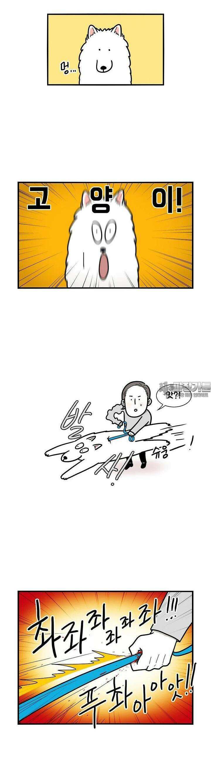 극한견주 4화 산책 1 4