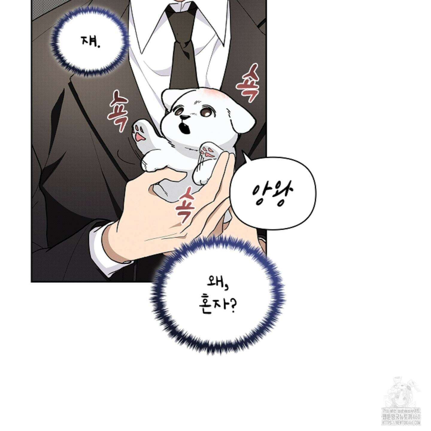 강아지는 건드리지 마라 11화 10