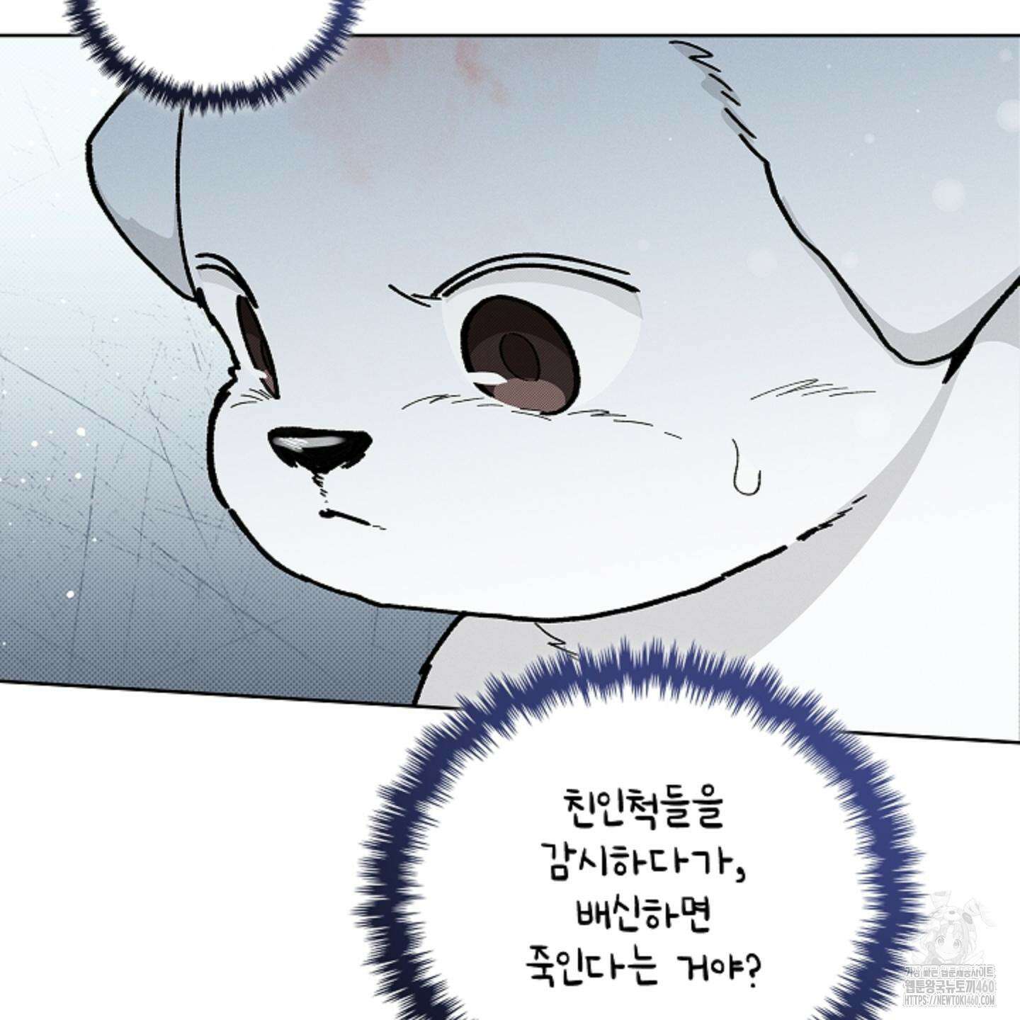 강아지는 건드리지 마라 11화 19