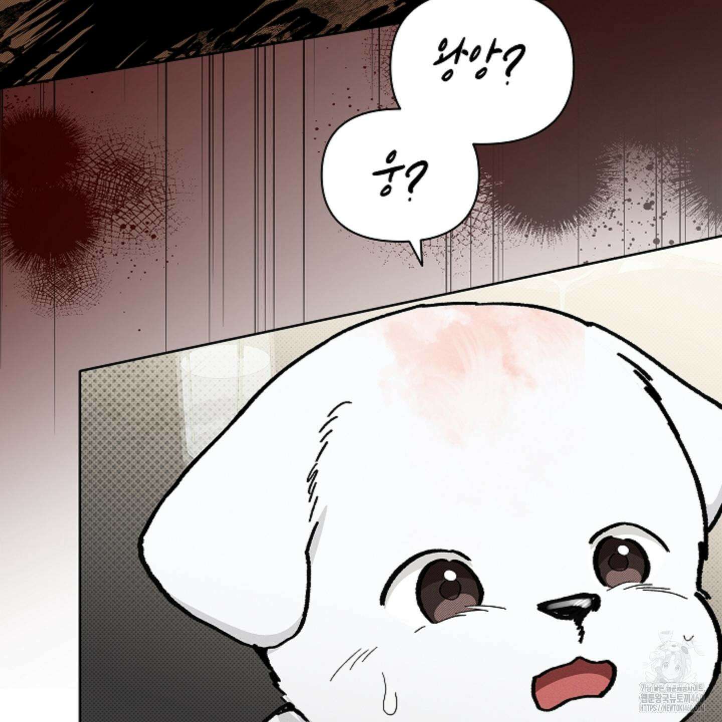강아지는 건드리지 마라 11화 29