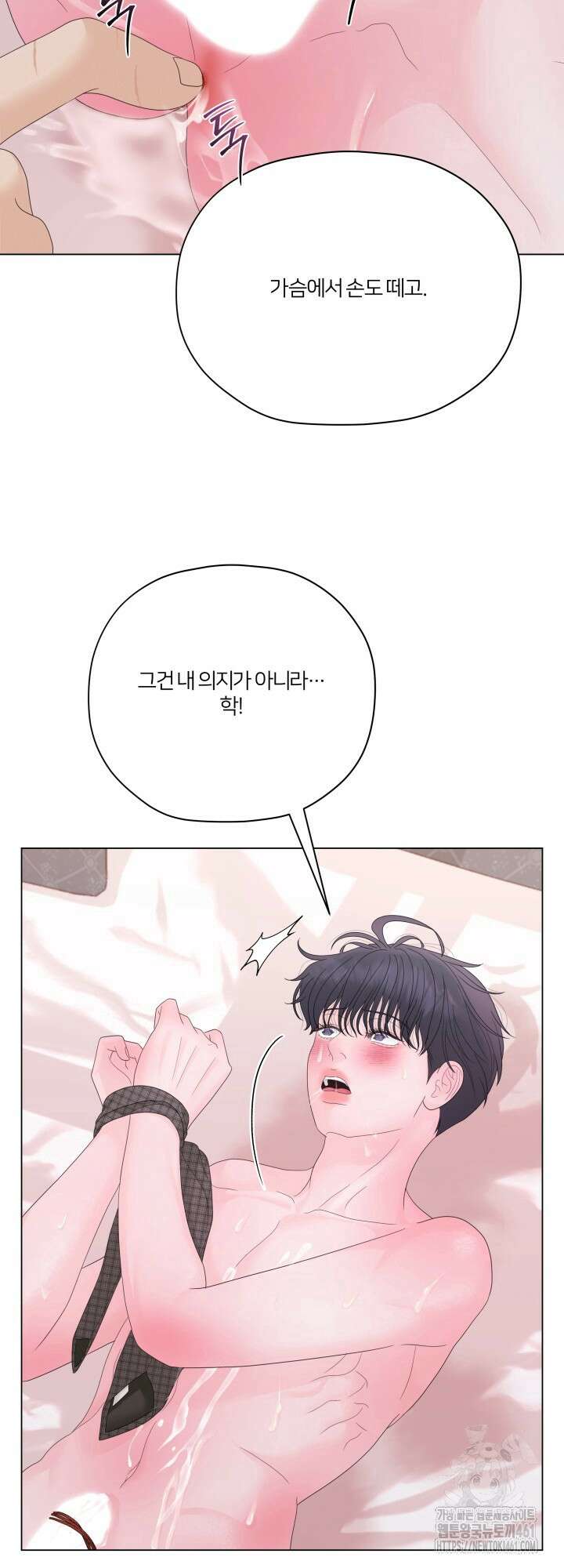 범의 요람 18화 11