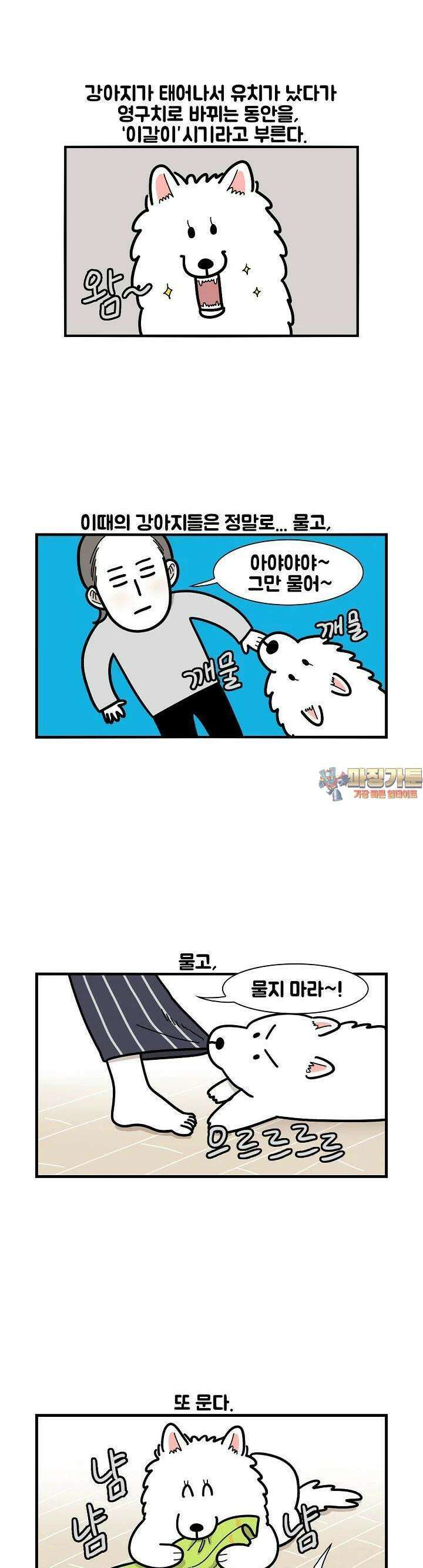 극한견주 21화 이갈이 1 1