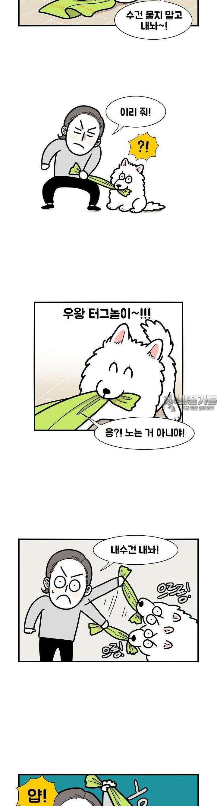 극한견주 21화 이갈이 1 2