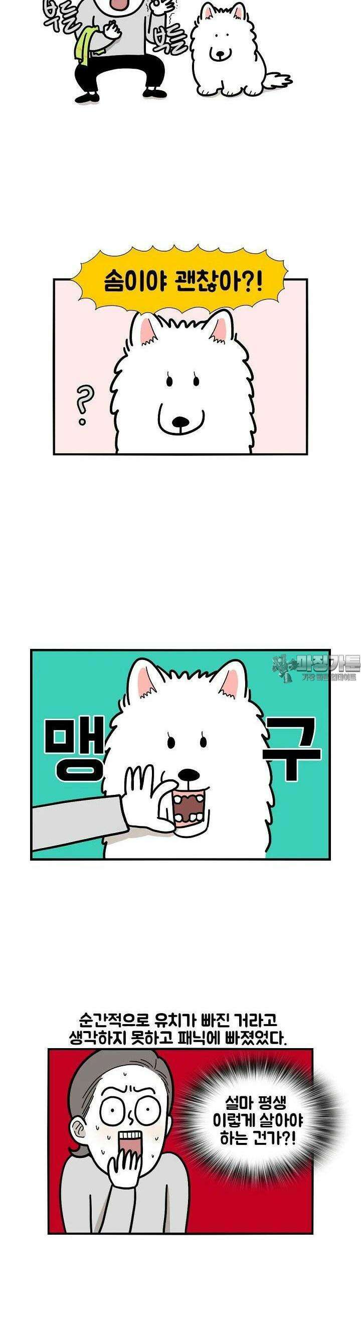 극한견주 21화 이갈이 1 4