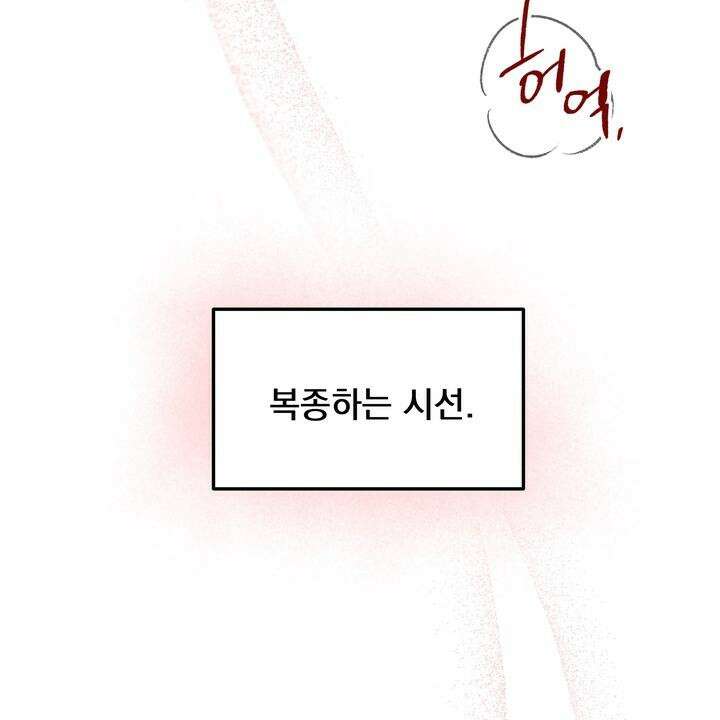 BDSM 기본지침서 3화 13