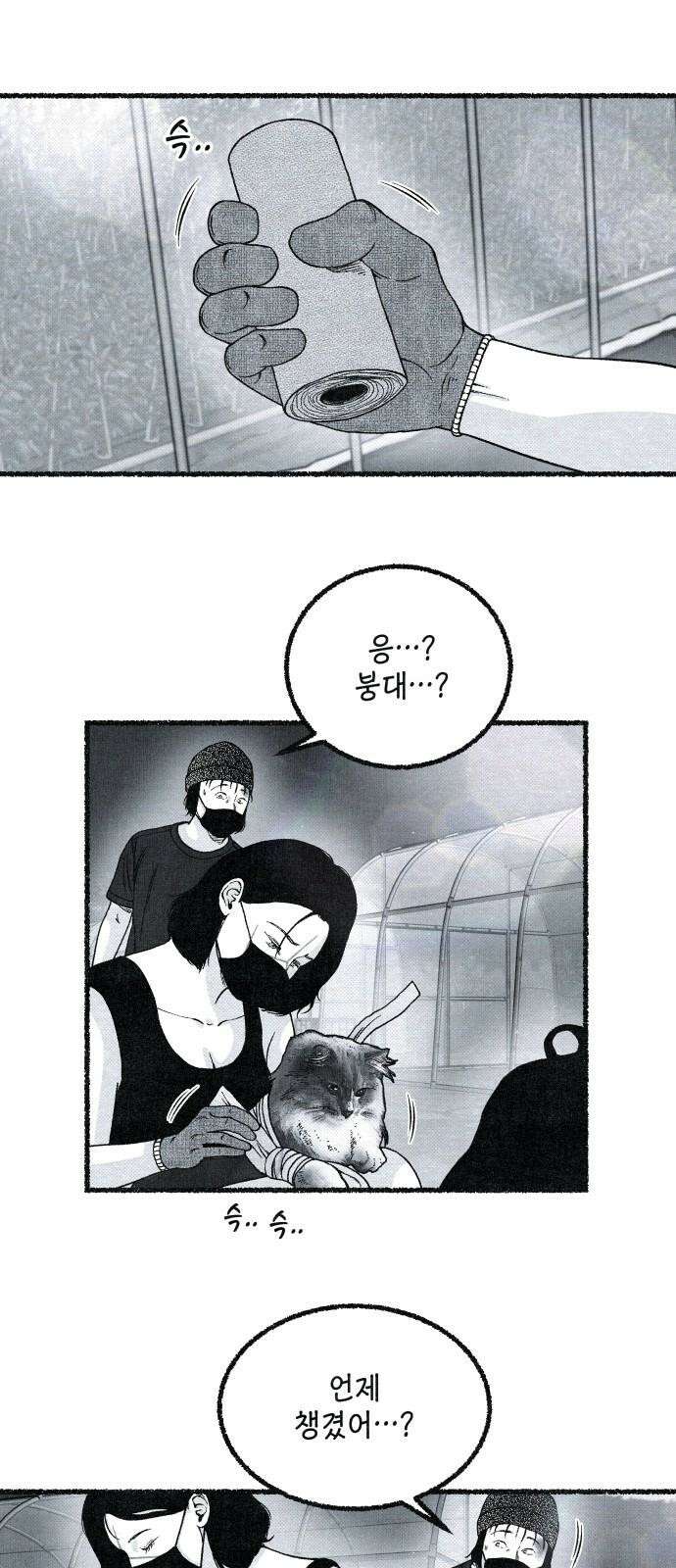 벌집 29화 5