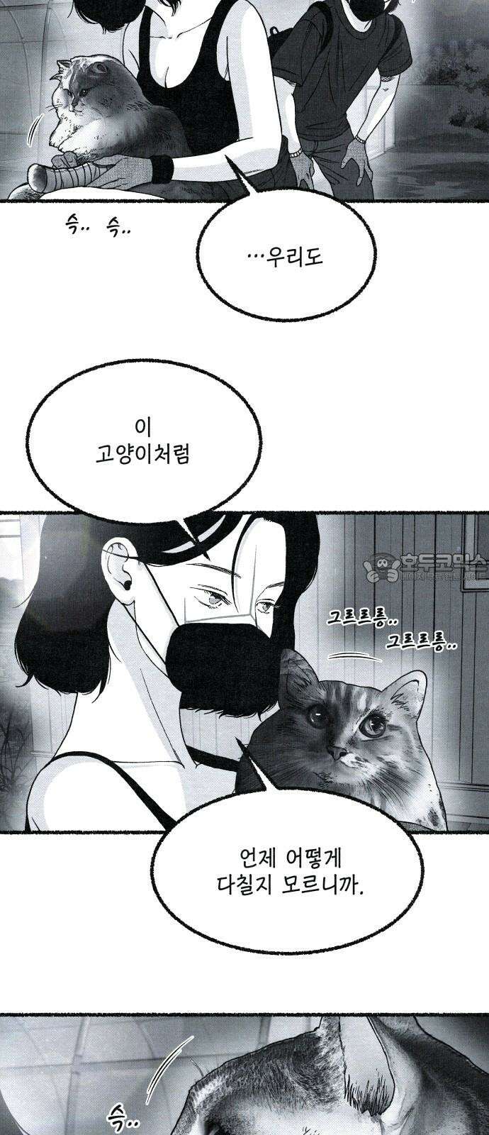 벌집 29화 6
