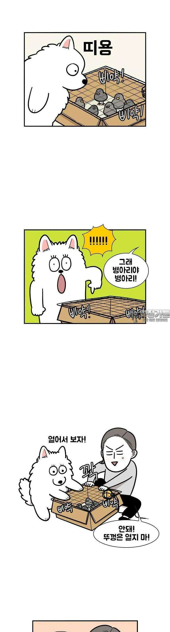 극한견주 32화 닭 2 2