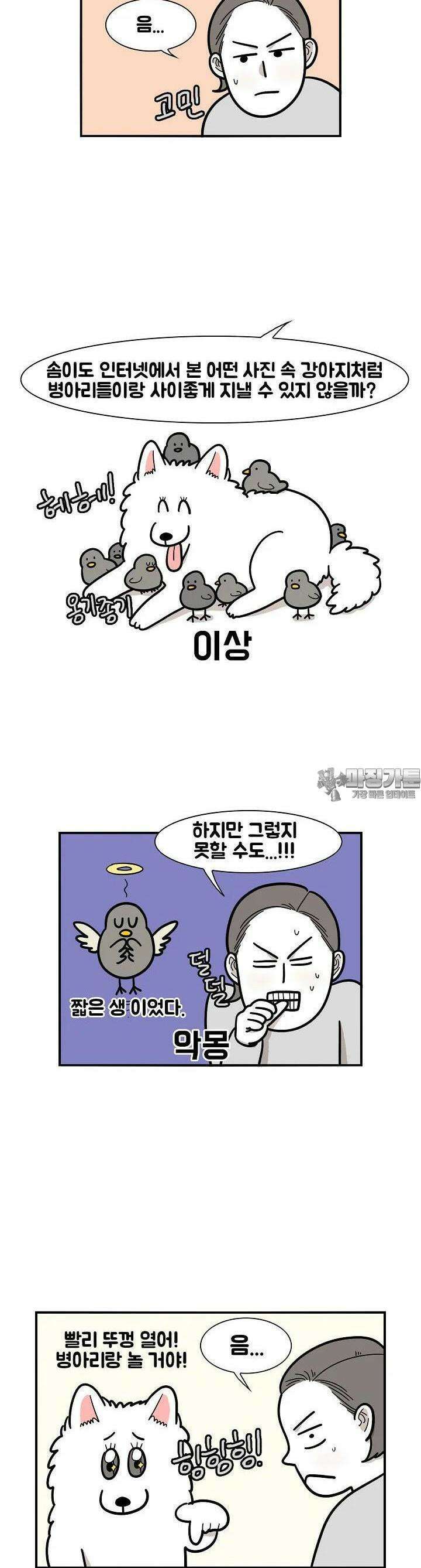 극한견주 32화 닭 2 3