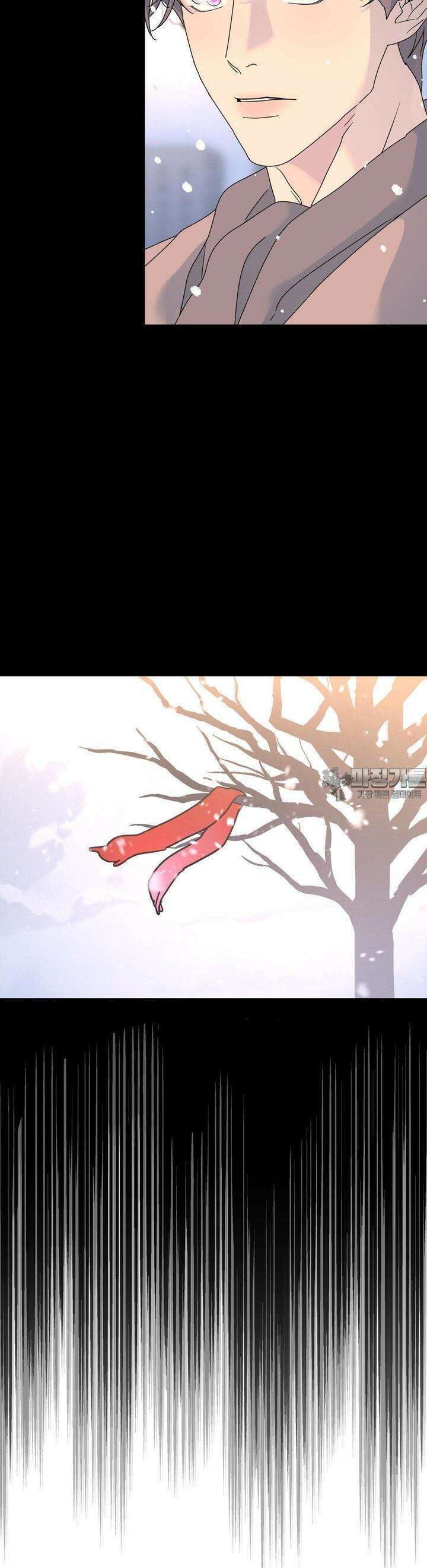 뿌리 없는 나무 66화 11