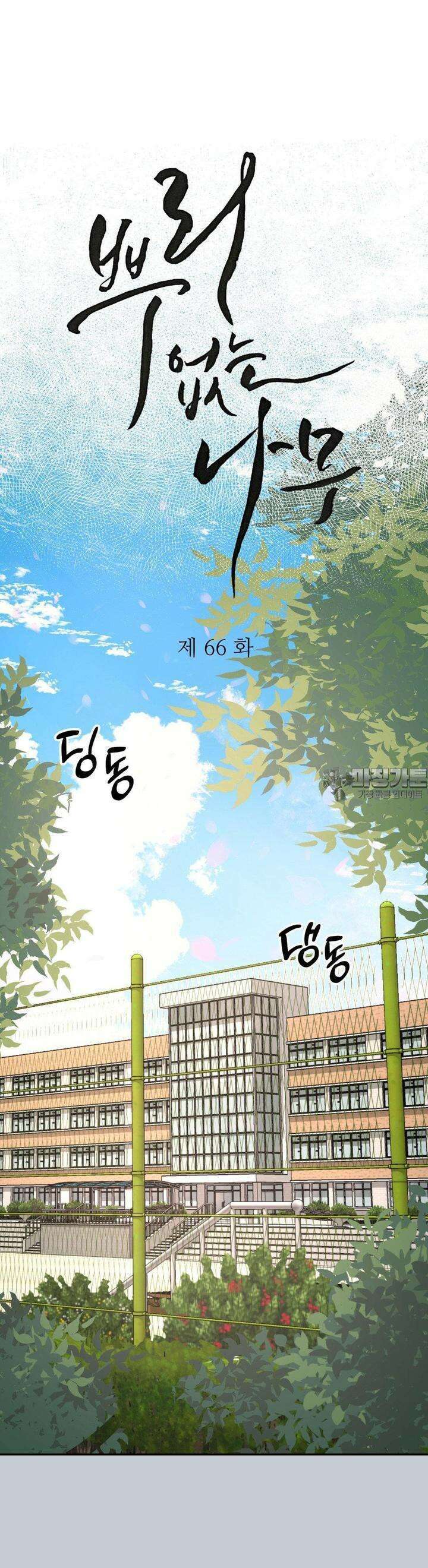 뿌리 없는 나무 66화 16