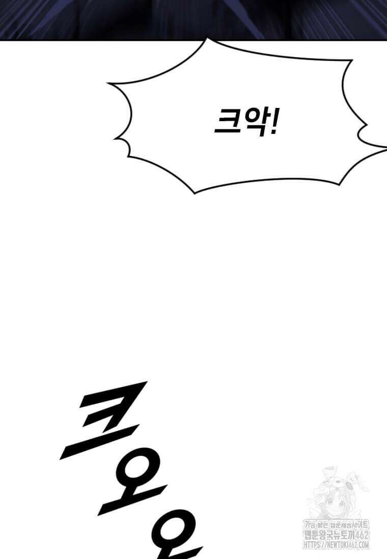 다른 세계에서 주워왔습니다 239화 17