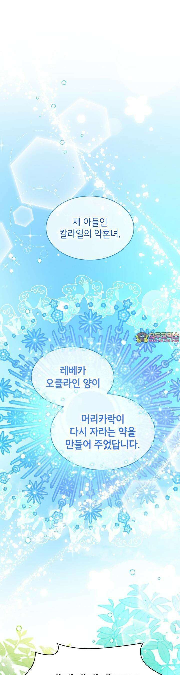 괴짜 영애님의 약혼자 19화 1
